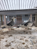 Další foto k inzerátu č. 107865 - Staropolské 2023