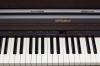 Další foto k inzerátu č. 116563 - Prodám digitální piano Roland - RP501R vhodné p...