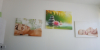 Další foto k inzerátu č. 66984 - Dobrý den, nově nabízím prodej přírodních produ...