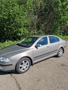 Inzerát č. 138546 - Prodám Škoda Octavia II r.v.2008, 1,9 TDi, v dobrém techn...