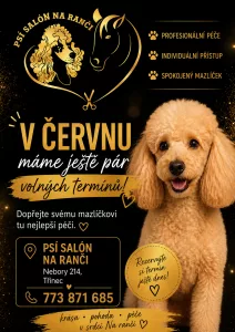 Inzerát č. 138777 - 🐶 V ČERVNU MÁME JEŠTĚ PÁR VOLNÝCH TERMÍNŮ!    Psí salón N...