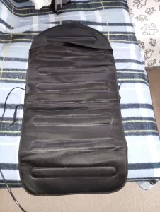 Inzerát č. 139406 - Vyměním vyhřívací podložku do auta za 1kg jahod