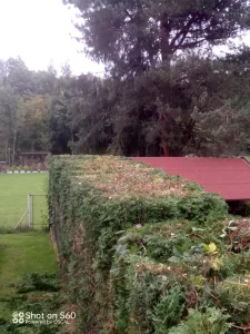 Inzerát č. 139727 - Dobrý den   Nabízím sečení, stříhání, mulčování, a celkov...