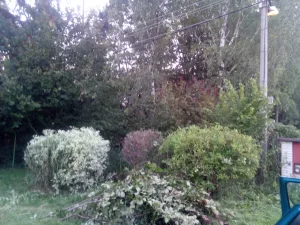 Inzerát č. 139727 - detailní foto 1