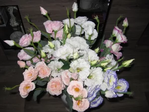 Inzerát č. 141015 - KYTICE 13-TI KS EUSTOMA V RUZNYCH BARVACH - NOVE  Nabízím...