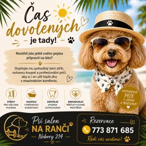 Inzerát č. 141056 - 🐾 Psí salon Na ranči 🐾    Dopřejte svému čtyřnohému parťá...