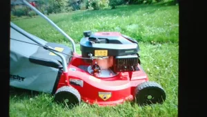 Inzerát č. 141423 - detailní foto 2