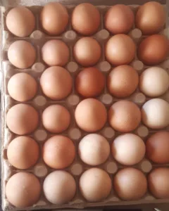 Hlavní foto k inzerátu č. 141530 - Prodám domácí vajíčka. Cena dohodou   Třinec Po...
