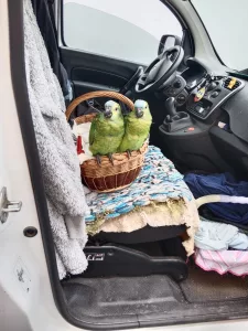 Inzerát č. 141678 - detailní foto 2