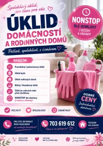 Inzerát č. 141816 - Úklid domácností a rodinných domů NONSTOP    - pečlivost ...