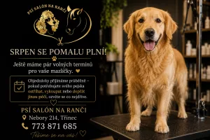 Inzerát č. 142051 - 🐾 SRPEN SE POMALU PLNÍ! 🐾    Ještě máme pár volných termí...