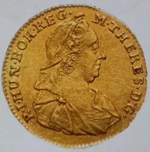 Inzerát č. 142264 - detailní foto 13