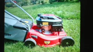 Inzerát č. 142323 - detailní foto 2