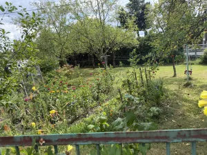 Inzerát č. 142621 - Přijmu zručného, spolehlivého pracovníka na údržbu zahrad...