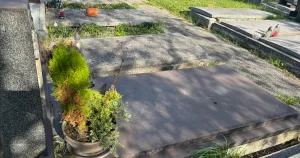 Inzerát č. 142842 - Přenechám hrobové místo a prodám hrob na centrálním hřbit...