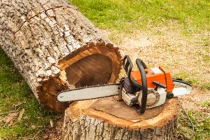 Inzerát č. 143468 - Zdravím  Nabízím opravy dvoutaktní zahradní techniky (pil...