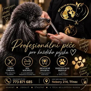 Inzerát č. 143660 - 🐾 PSÍ SALÓN NA RANČI – NEBORY • TŘINEC • ČESKÝ TĚŠÍN  Neb...