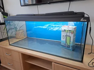 Inzerát č. 144452 - Nabízím akvárium 100x40x40 z Hornbachu s krytem a led svě...
