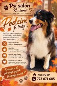 Inzerát č. 144550 - 🍂🐾 PODZIM JE TADY… 🐾🍂    Dopřejte svému čtyřnohému parťák...