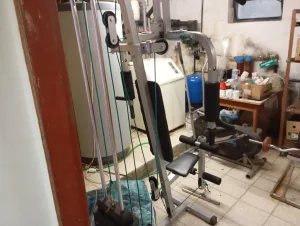 Inzerát č. 144849 - Prodám profi stroje do posilovny. Levně...cena dohodou