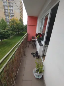 Inzerát č. 144989 - detailní foto 2
