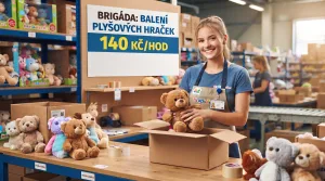 Inzerát č. 145637 - BRIGÁDA - balení objednávek internetového obchodu s dětsk...